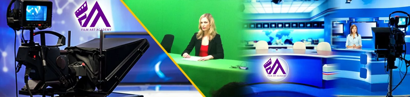 Anchoring / Radio Jockey / Reporting